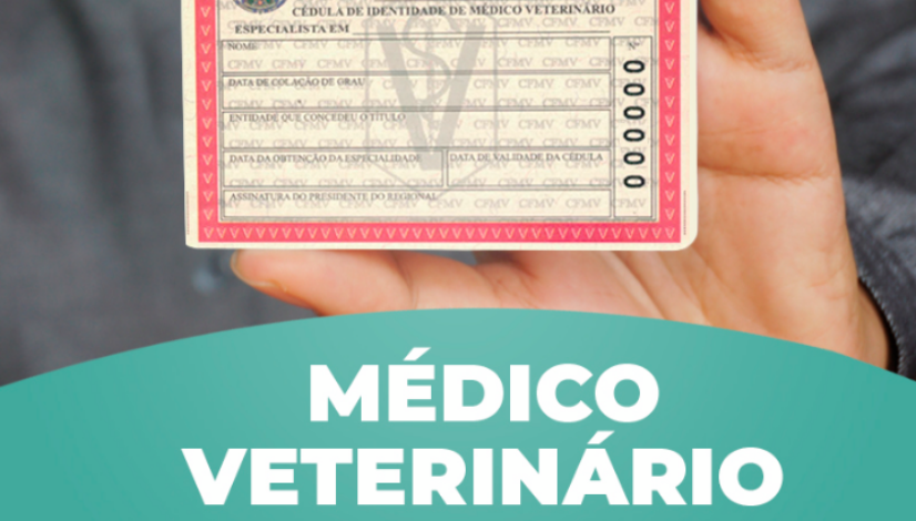 Médico veterinário