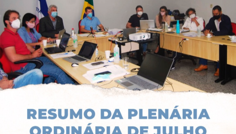 plenária