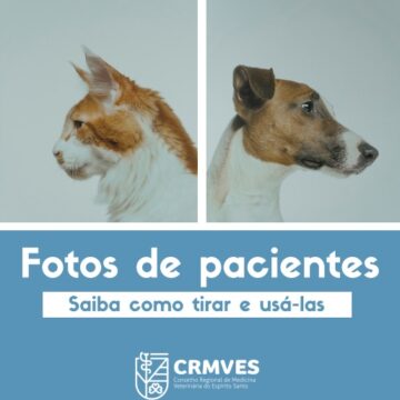 fotos pacientes