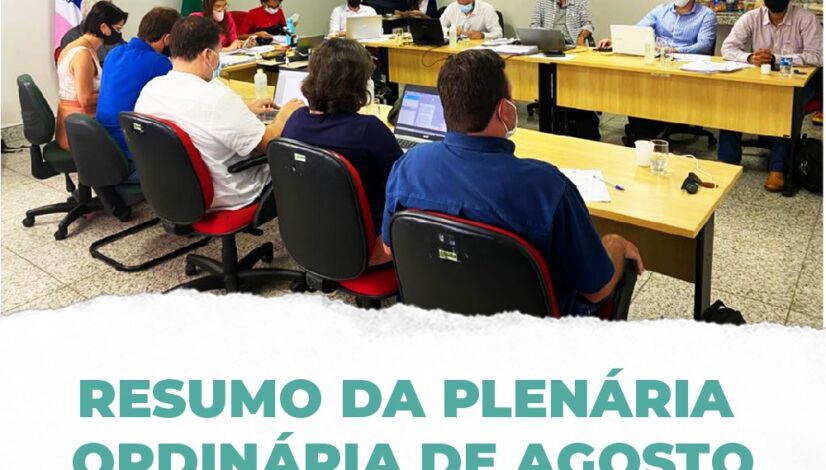 Plenária de agosto