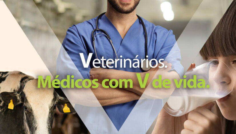 medicos v