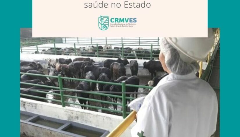Através da fiscalização agropecuária, Médicos-Veterinários protegem a economia e saúde no Estado