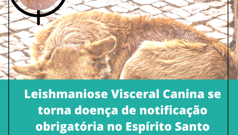 Cópia de Convocação (2)