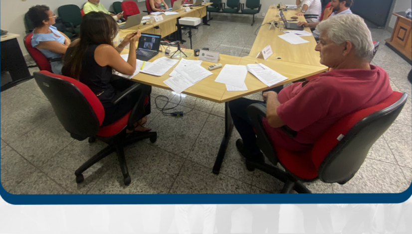 Projeto-Plenária-de-Março-Site