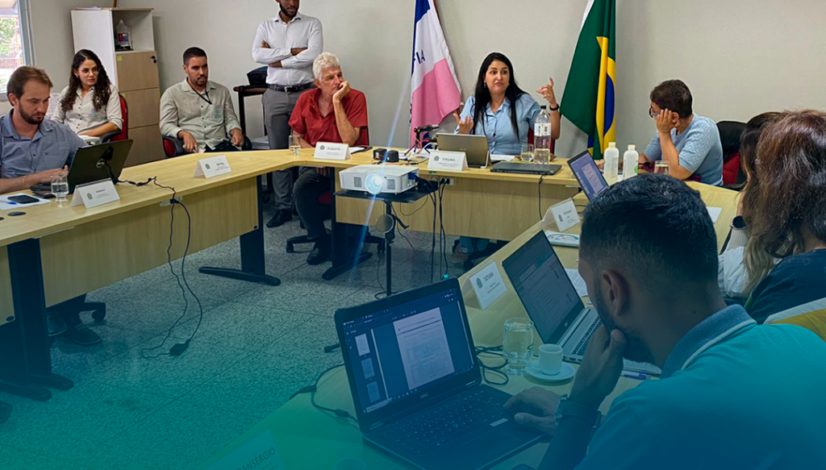 Projeto-Arte-Site-Plenária-v2