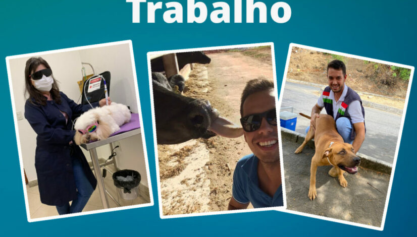 Projeto-Dia-do-Trabalhador-Site