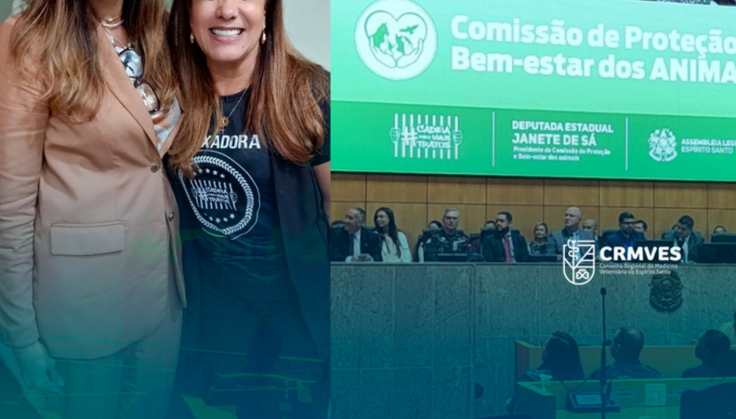 Projeto-Matéria-Bem-Estar-Virgínia-Site Projeto-Matéria-Bem-Estar-Virgínia-Site