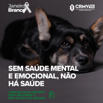 JAneiro-Branco---Pets_01