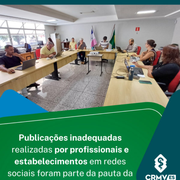 _plenária ordinária