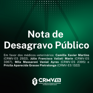 DESAGRAVO_site1