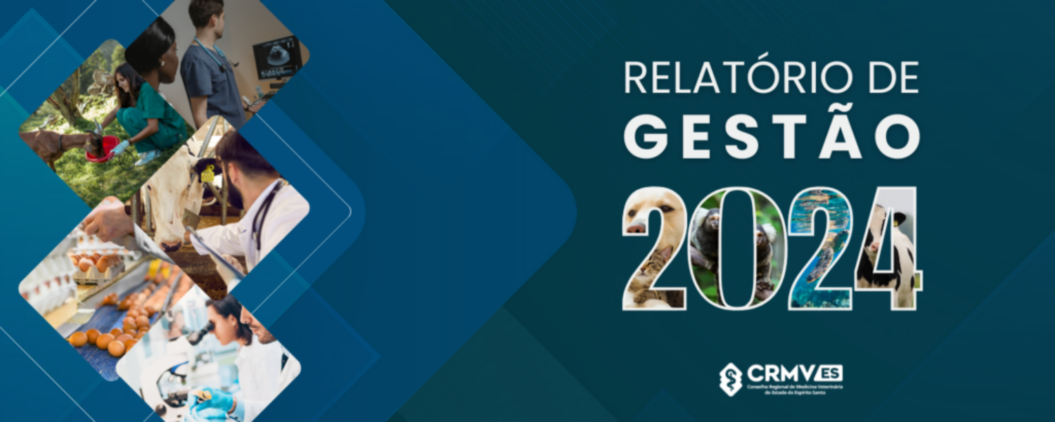 banner relatório 2024 (1500 x 600 px)