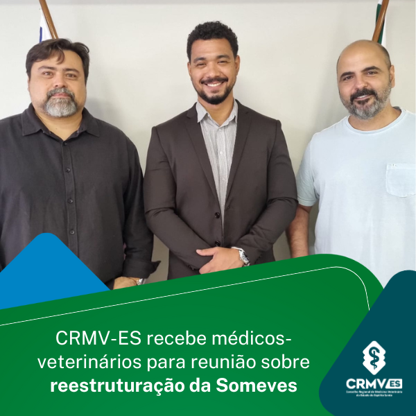 someves_site