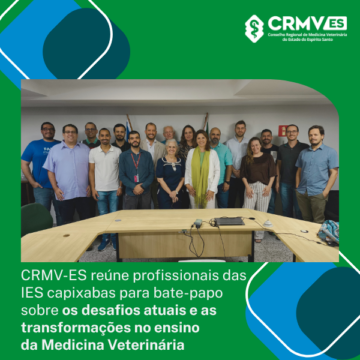 Modelos SITE (600 x 600 px)