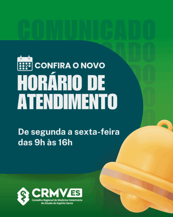 Novo horário_feed