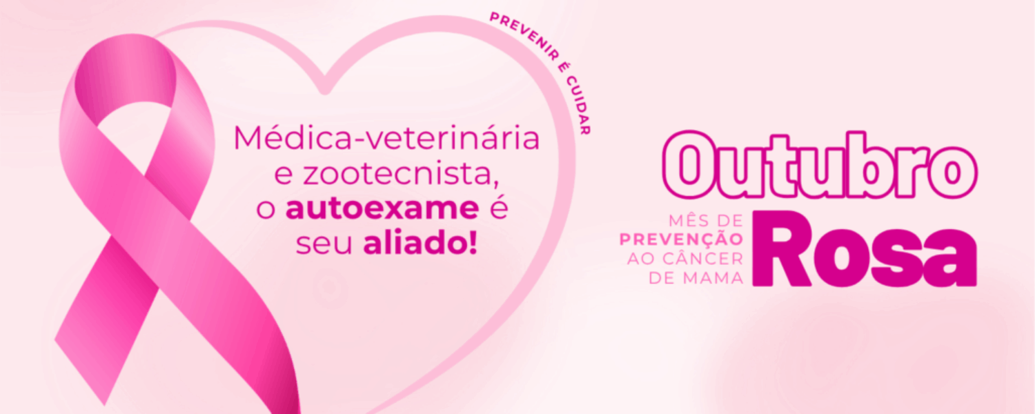 Outubro rosa 2025 - site