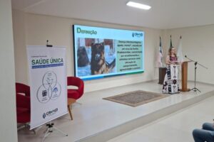 WhatsApp Image 2026-03-05 at 19.53.44 (2) WhatsApp Image 2026-03-05 at 19.53.44 (2)